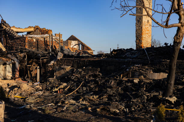 Reliable Board Up Services contractor in Pinellas Park, FL by Fire Damage Laser Cleaning